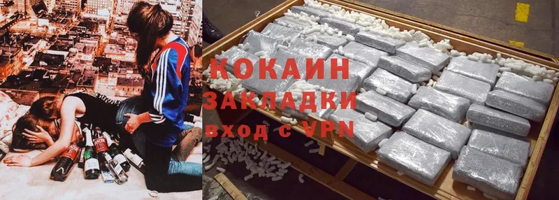 Cocaine Fish Scale  маркетплейс какой сайт  Сертолово 